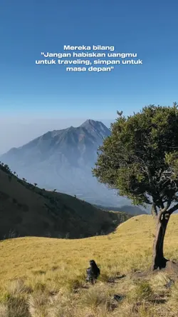 mereka bilang 