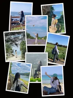 8Pic Frame Aesthetic