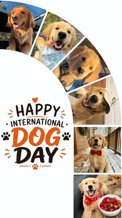 National Dog Day