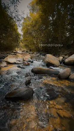 Pokdi Campsite