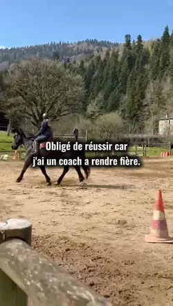 Un coach a rendre