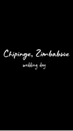 Wedding Diaries
