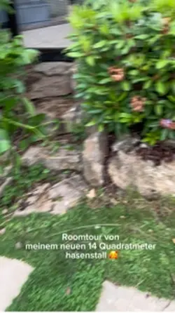 Neuer hasenstall 