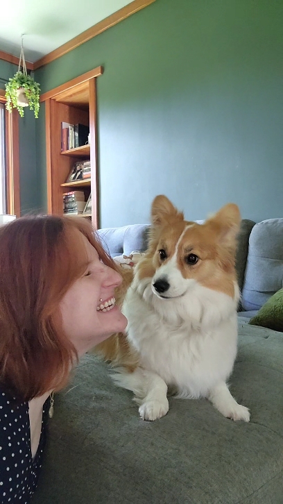 Lindo perro