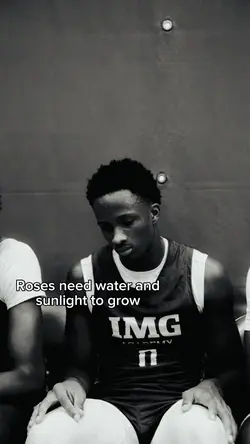 roses need water