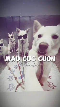 BEAT 2 ẢNH NHẸ NHÀNG