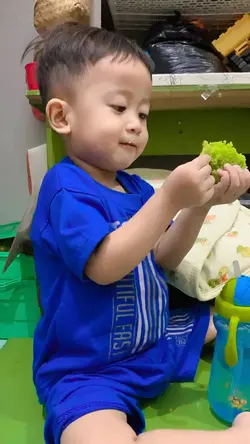 Makan makan