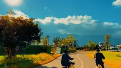 Filter Movie trend 
