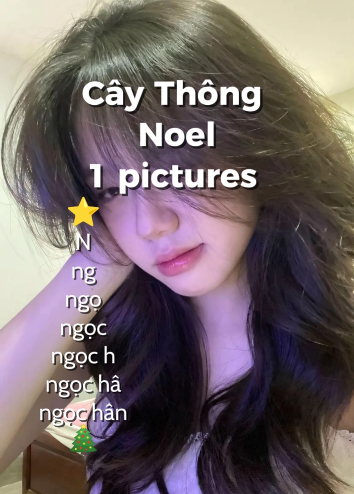 Cây Thông Noel 