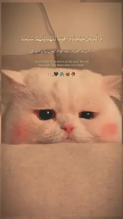 والذين جاهدوا