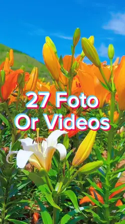 27 Foto Slides