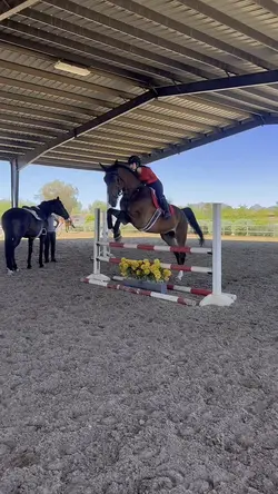 🤠YEEHAW🐎❤️