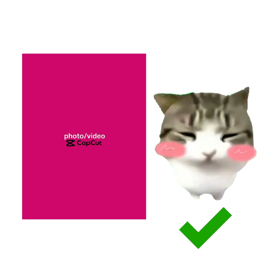 VERDAMMTE DIDIDI KATZE