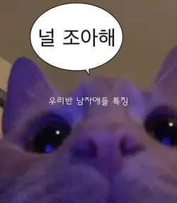 우리반 남자애들 특징