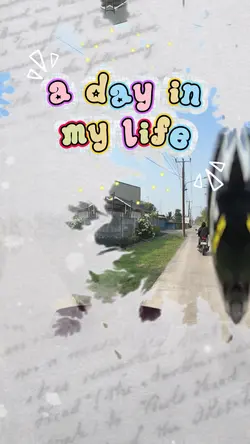 A day in my life