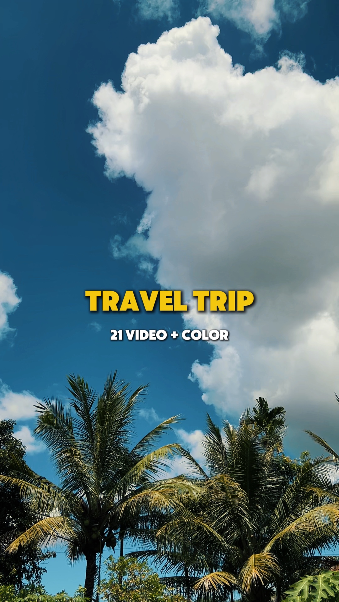 Travel trip