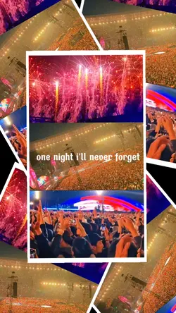 one night i'll never