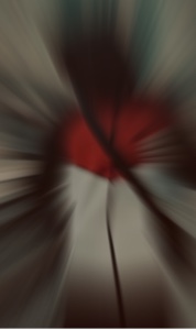 🦅🫀