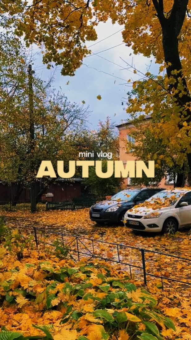 mini vlog automne 