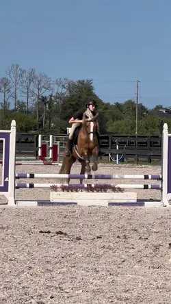 Love himm ⚠️FAKE⚠️