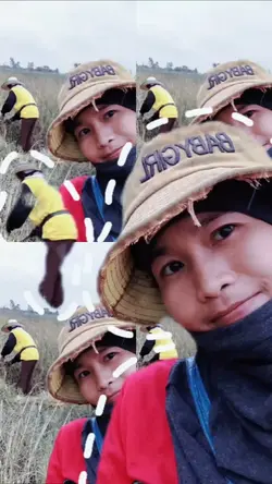 content @แพทตี้8616