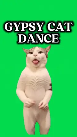 GYPSY CAT
DANCE