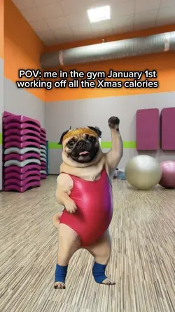 Fitness Dog