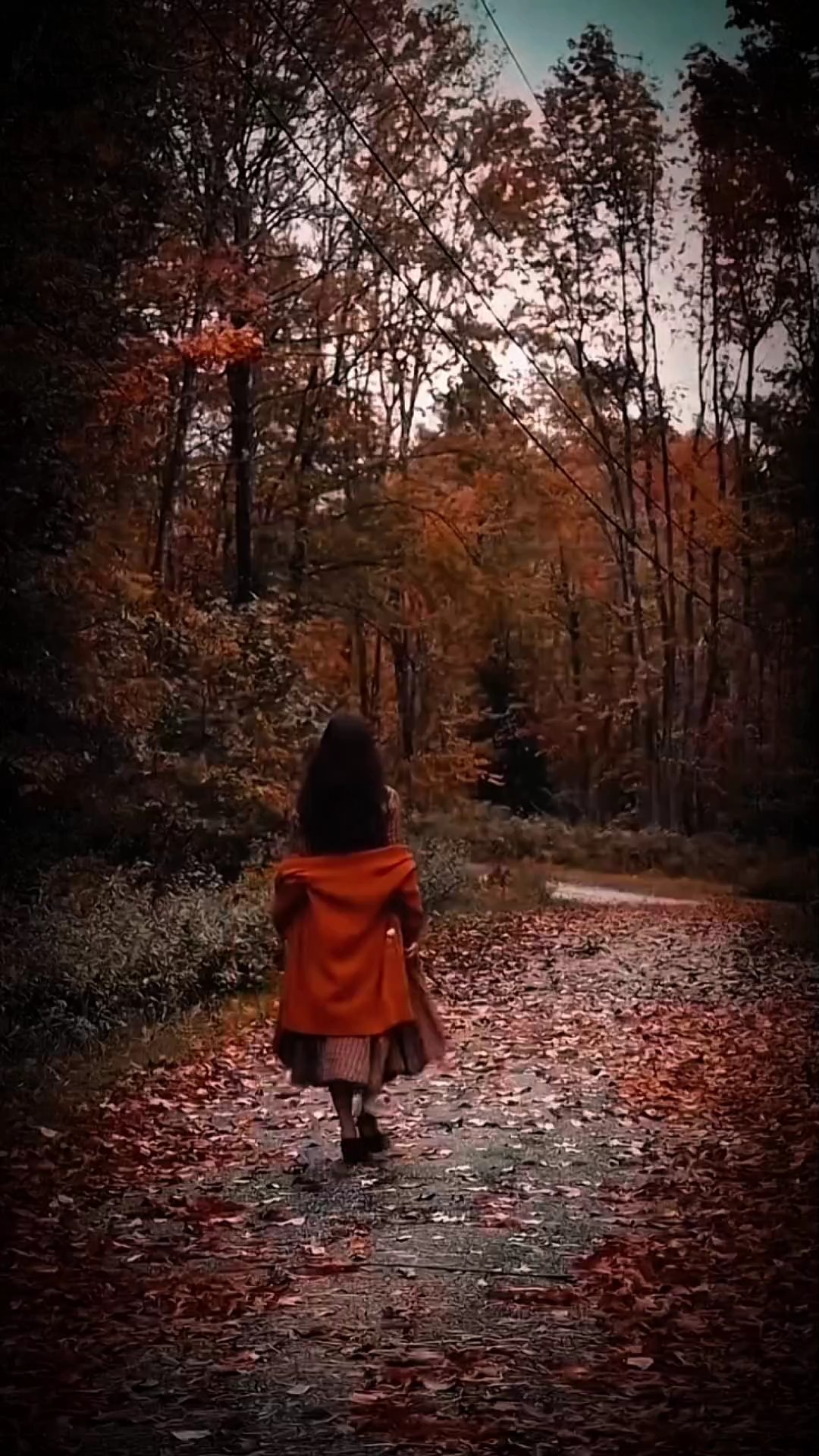 chute vidéo