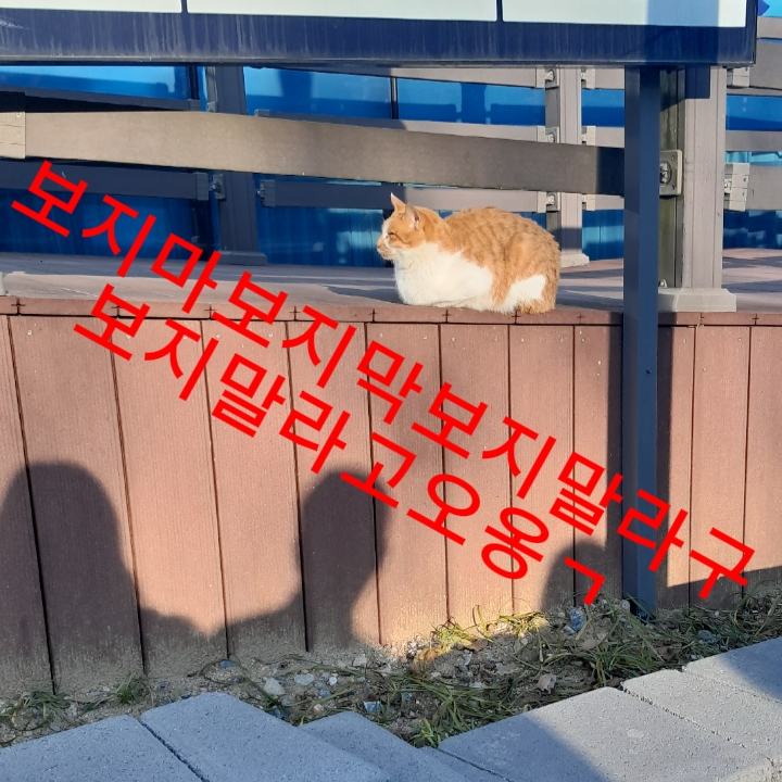 100팔공약