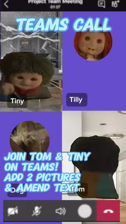 Teams Call