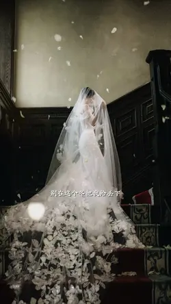 Gió thổi tuyết rơi