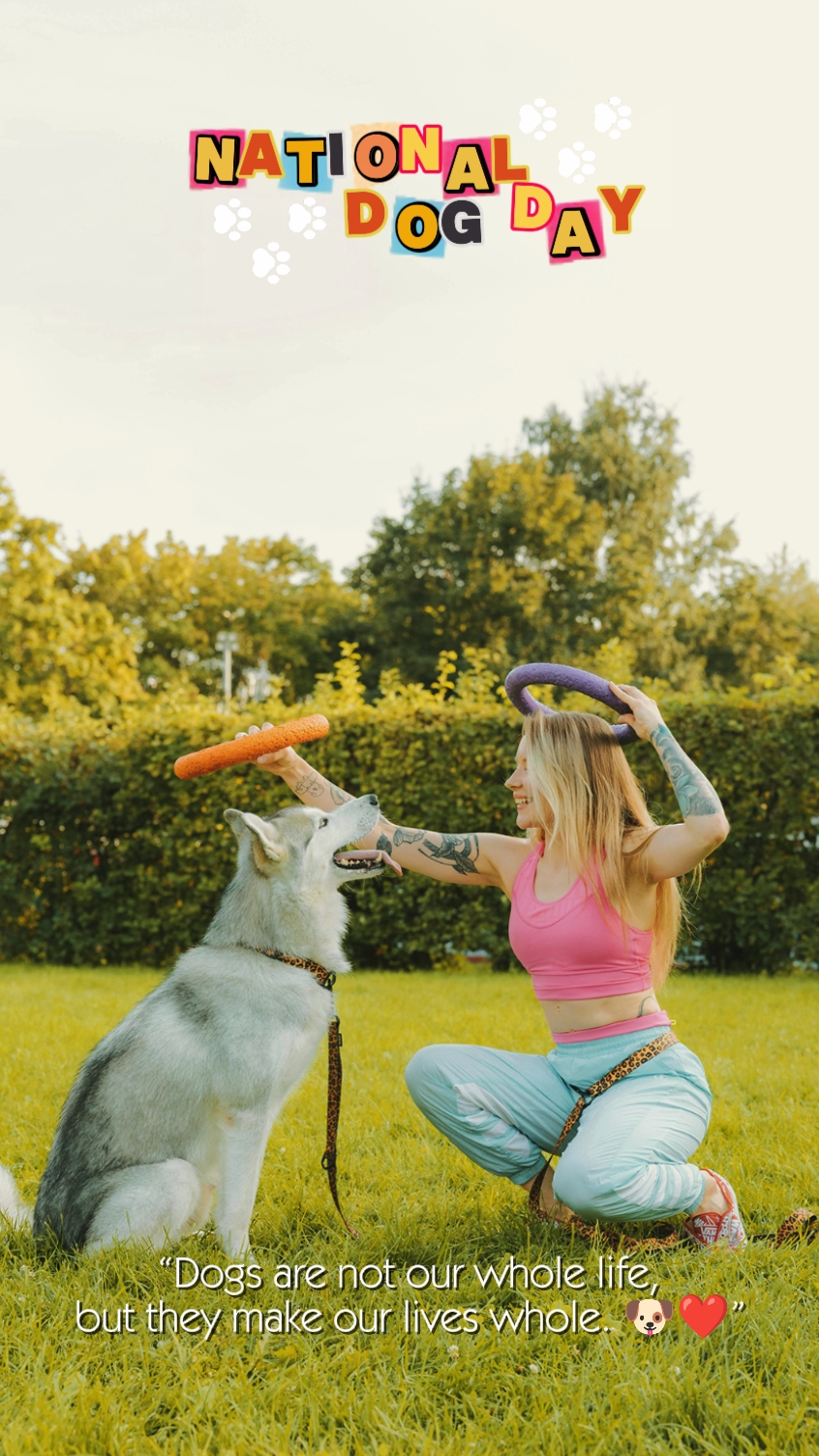 ULUSAL KÖPEK GÜNÜ