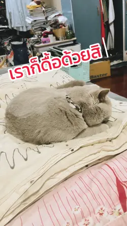 ไอ้เราก็ดื่อ