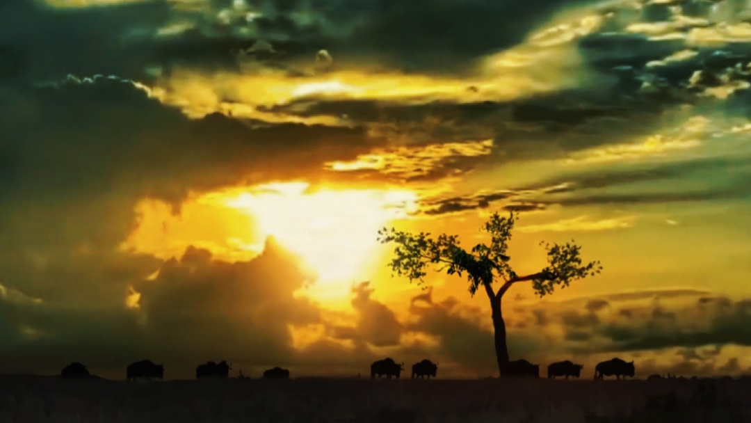 Paisagem 7