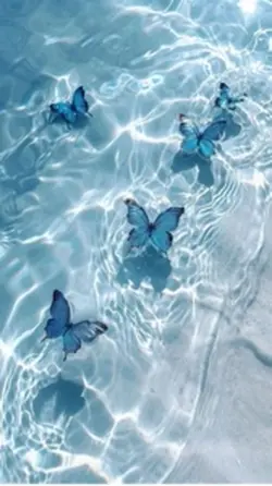 아무 사진을 넣어보세요