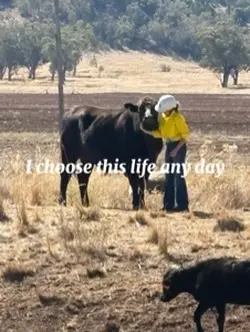 Farm life 