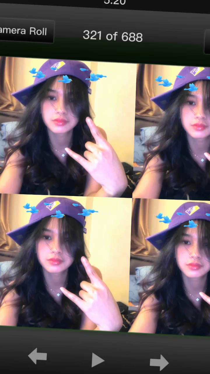 bird bisa digeser