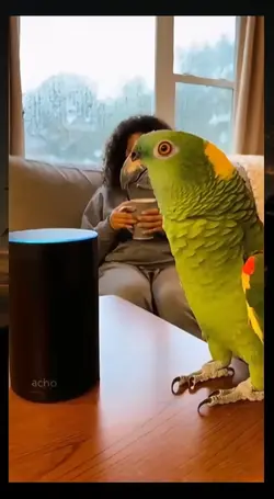 parrot mentality
