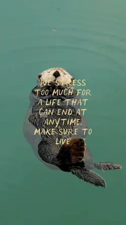We stress too much