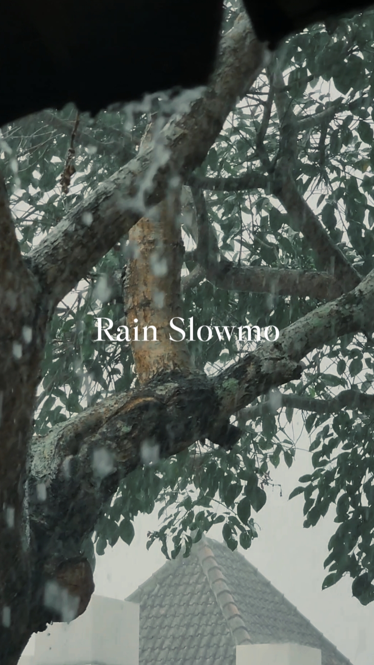 Regen Slowmo 