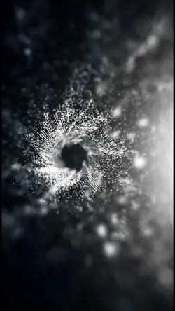 vortex portrait ¹⁰