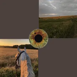 Green and Brown Eyes