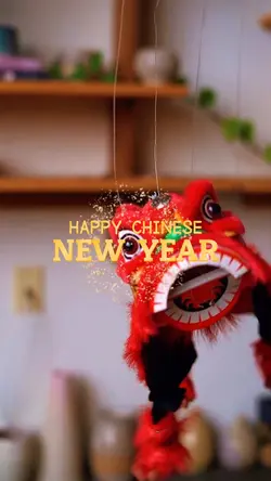 chinese new year