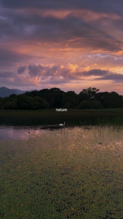 Naturaleza