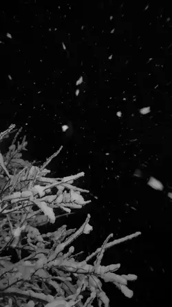 Slowmotion