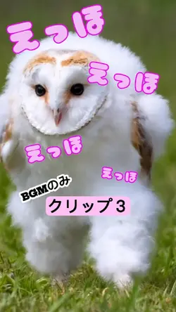 えっほ_BGMのみ
