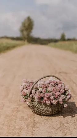 Tak ku tahu kan hari