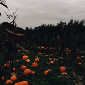 👻🎃Otoño🍁🍂