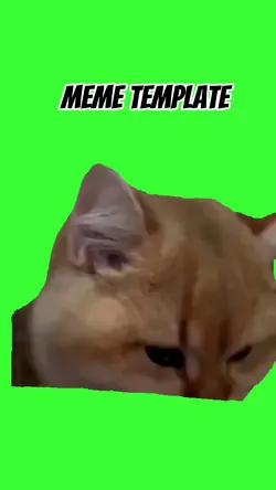 Chocked cat eating 
