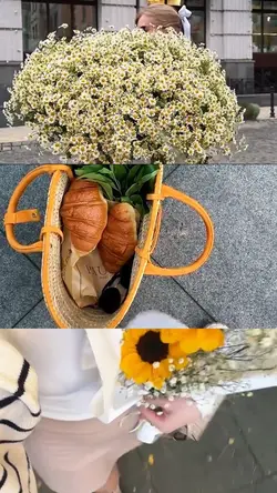 Minivlog Aesthetic